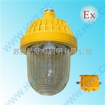 防爆平臺(tái)燈（70W100W150W金鹵燈）吊桿式防爆平臺(tái)燈